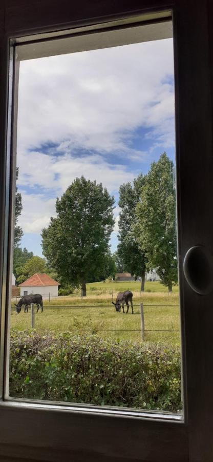 Ardres Chambres D'Hotes B&B Cote D'Opale La Fermette Du Lac المظهر الخارجي الصورة